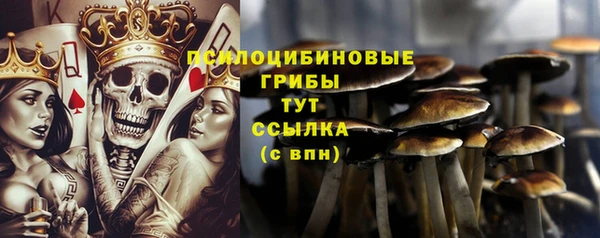 2c-b Алексин